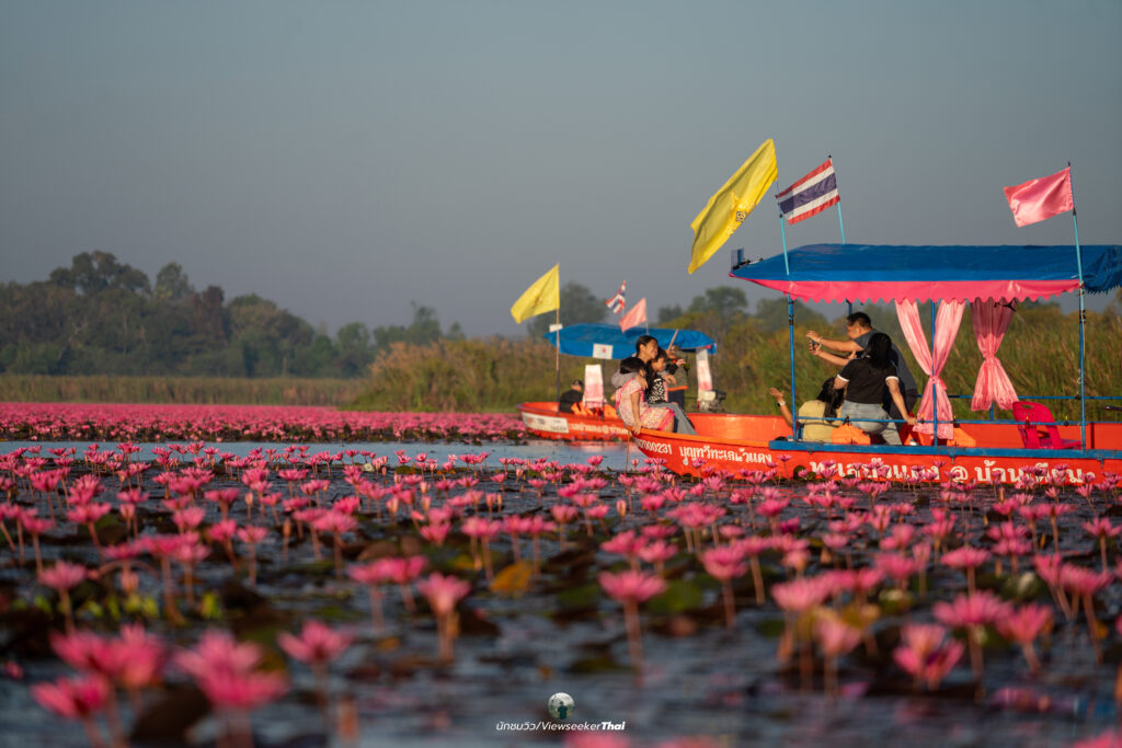 ทะเลบัวแดง