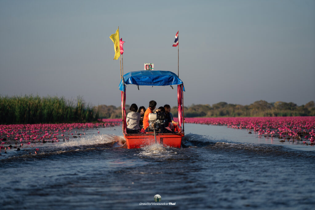 ทะเลบัวแดง