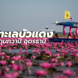 ทะเลบัวแดง